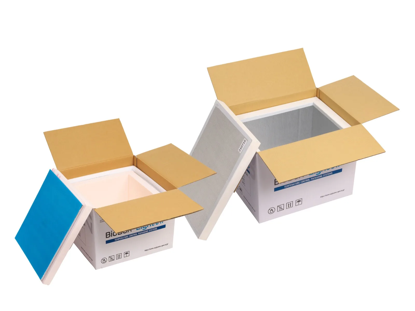BioBox Light VIP-63